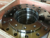 ASTM A182 F51 F51 WN SO BL ANSI B16.5 FLANGE 