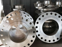 ANSI B16.5 Inconel Alloy 600 RTJ Flanges 