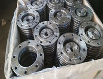 AISI Inconel 600 UNS N06600 Nickel Alloy Flange