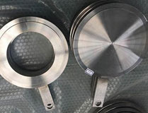 SS 316L Flange1