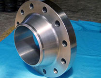 SS 316L Flange10
