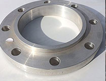 SS 316L Flange3