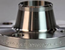 SS 316L Flange5