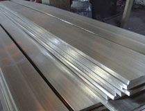 SS flat Bar1